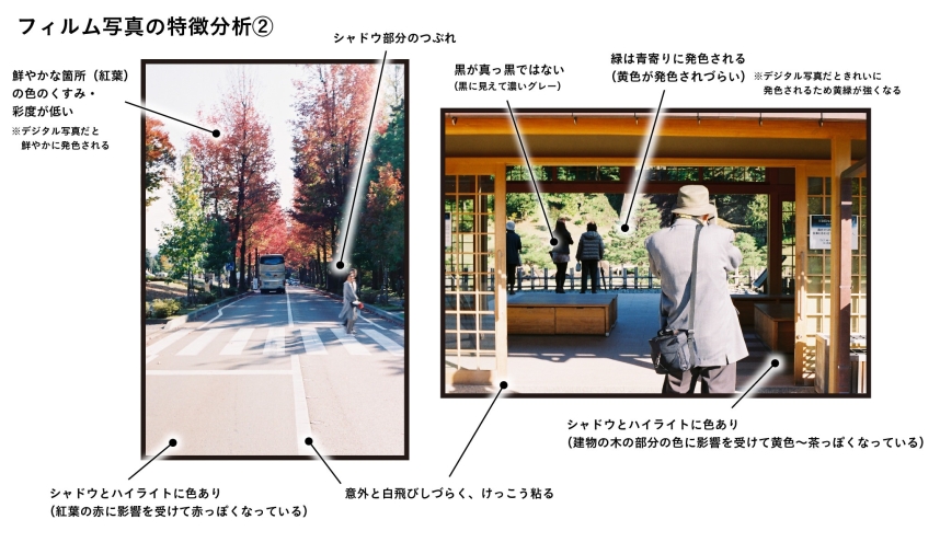 フィルム写真の特徴分析2　【Film photo by いちがみトモロヲhttps://www.instagram.com/ichigami/】