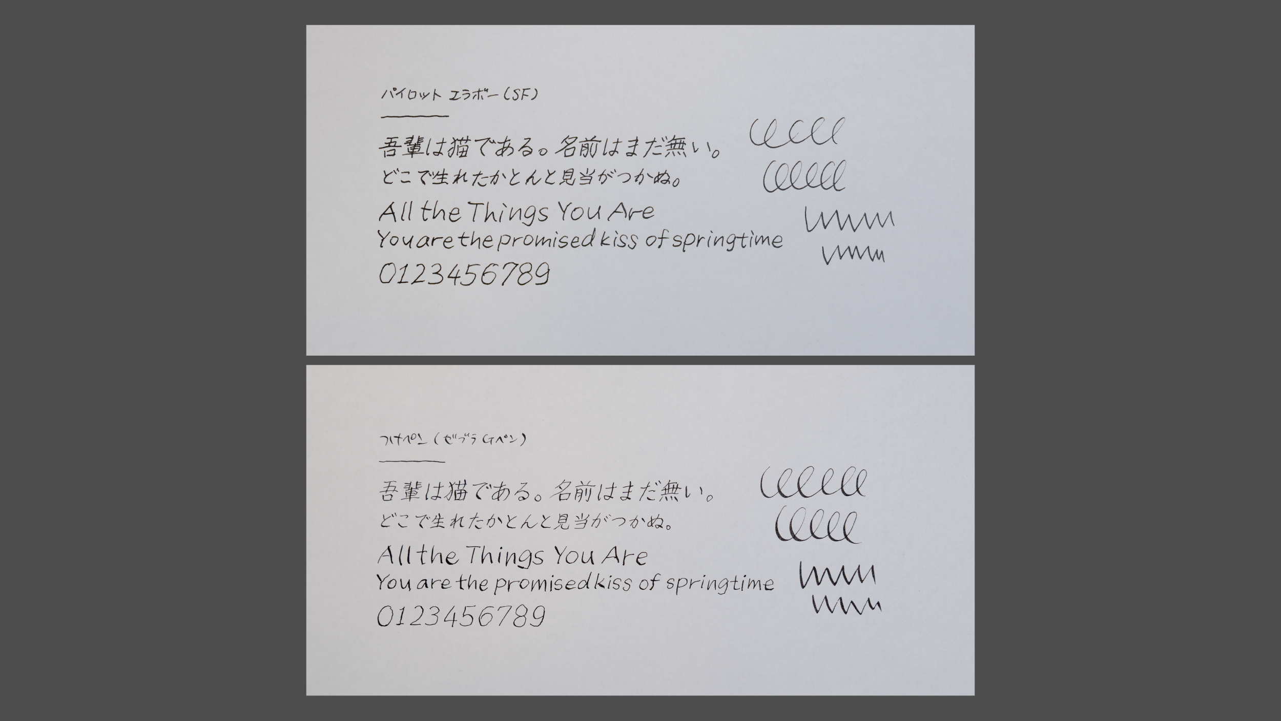 万年筆 / パイロット エラボー SF（細軟・樹脂軸） | 文具・画材